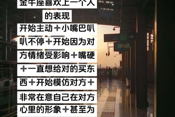 金牛座写作业的时候  哪个星座会爱上金牛座