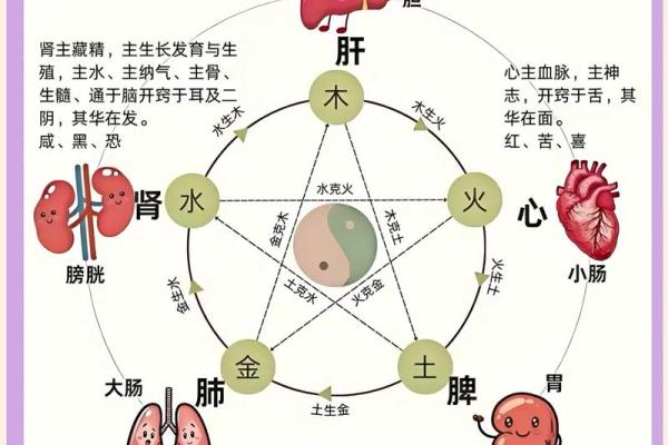 五形对应方位春夏秋冬四季剖析