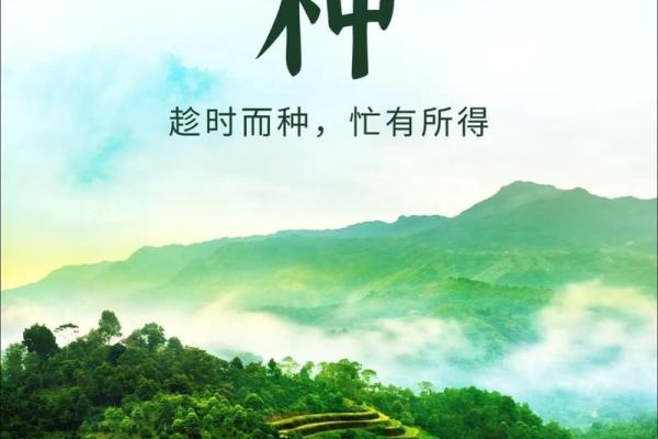 2024年芒种的财神方位在哪？芒种节气的三个物候现象