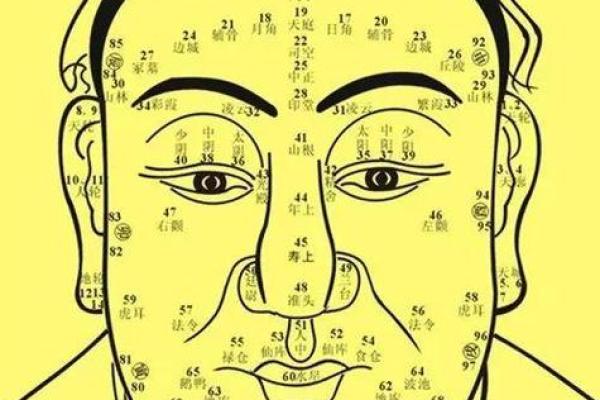命相故事,如何通过看面相算命 命相故事,如何通过看面相算命
