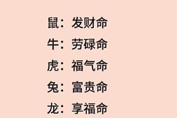属相八字算命