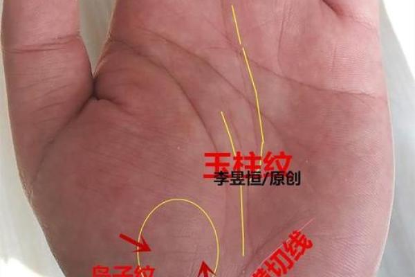 川字掌算命分析