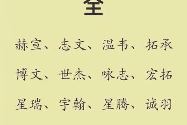 2019年3月27号巳时出生的男孩应该起什么样的名字姓名