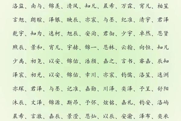 2019年3月27号巳时出生的男孩应该起什么样的名字姓名