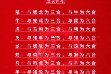 1974年属什么生肖配对 多大几岁 配偶