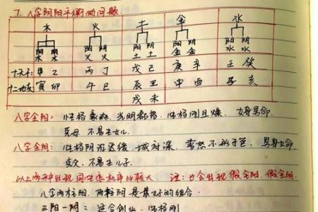 八字五行平衡