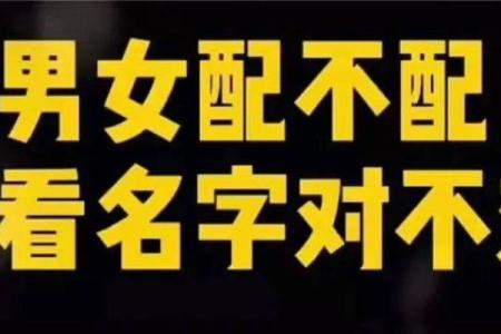 姓名配对费用查询系统 姓名配对费用查询系统官网？