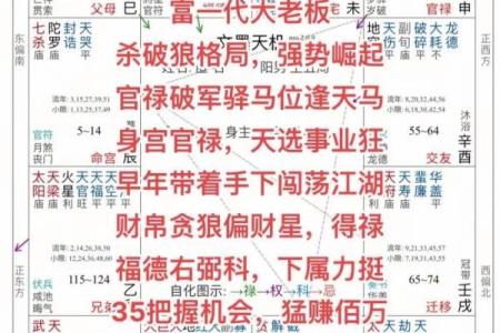 紫薇斗数与四柱