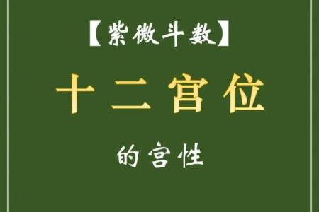 紫微斗数之定十二宫星曜落闲宫