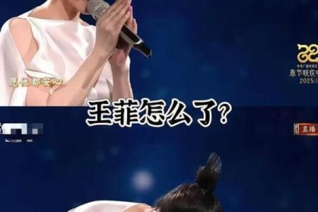王菲2009八字分析及运势预测