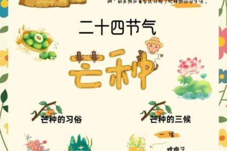 2024年芒种的财神方位在哪？芒种节气的三个物候现象