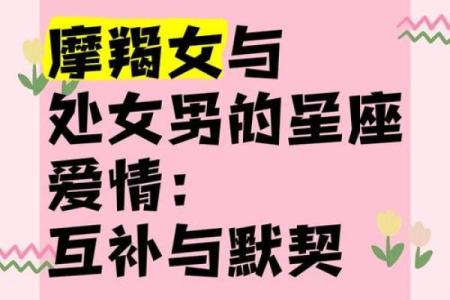 摩羯座和处女座配对指数
