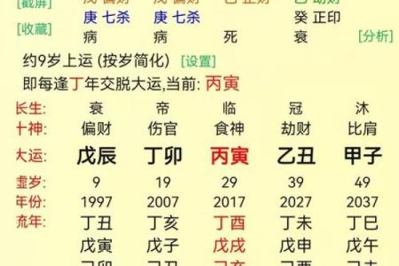 八字上等格局什么意思