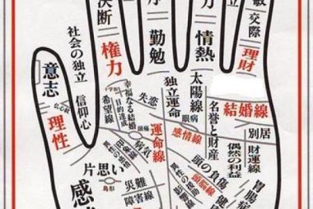 算命的老头看手相吗