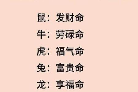 属相八字算命