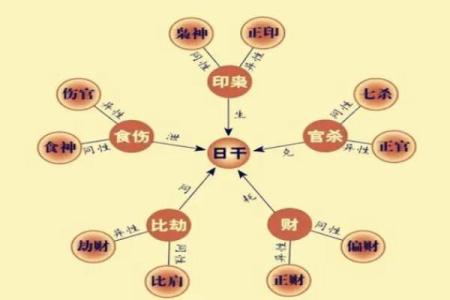 九重居周易八字排盘 九重啥意思是什么