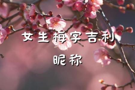 梅姓女孩名字大全-梅姓女孩起名字大全-梅姓名字大全姓名