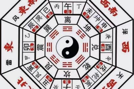 八卦与八字
