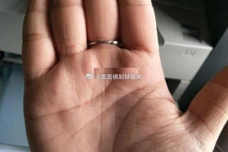 川字掌算命分析