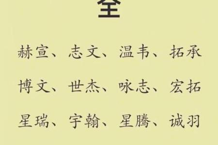 2019年3月27号巳时出生的男孩应该起什么样的名字姓名