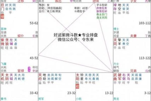 紫薇斗数流年2004