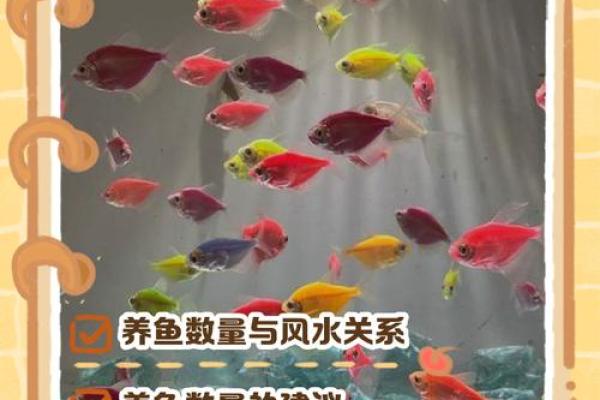 养鱼风水讲究需要注意哪些方面呢