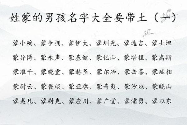 2019年3月25号未时出生的男孩起名方法姓名