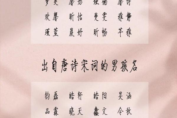 2019年3月25号未时出生的男孩起名方法姓名