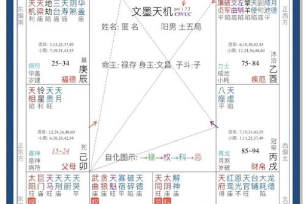紫薇斗数免费排盘华易