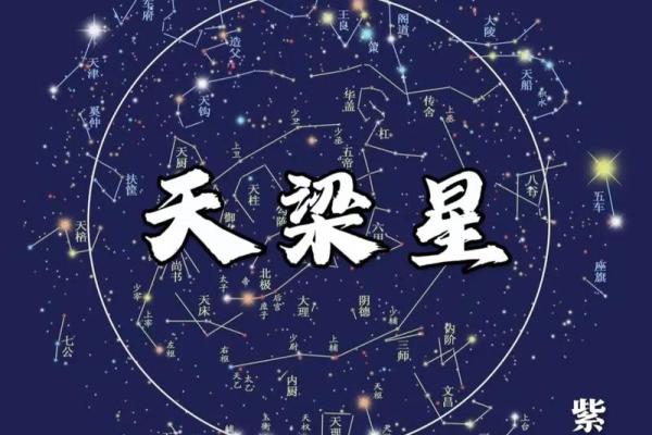 紫薇斗数运疾