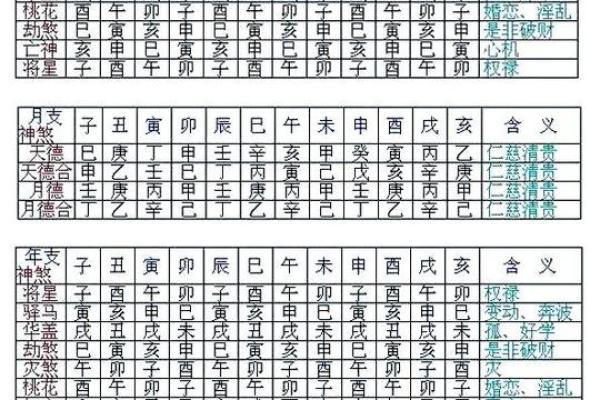 八字癸巳什么意思