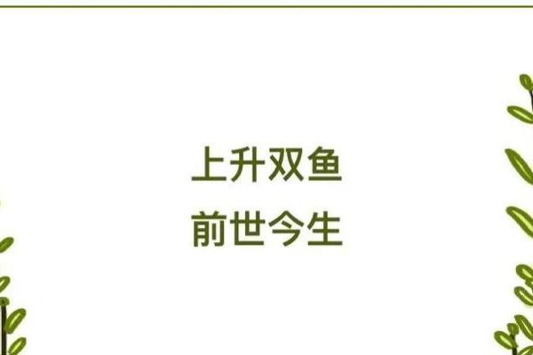 上升双鱼的长相特征 上升星座落入双鱼座