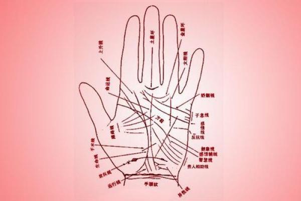 女性手掌感情线算命图解 感情线不清晰的人没有主见