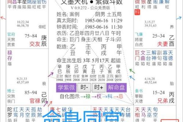 紫薇斗数初级入门