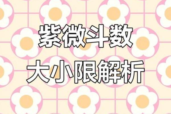紫薇斗数什么叫限流盘