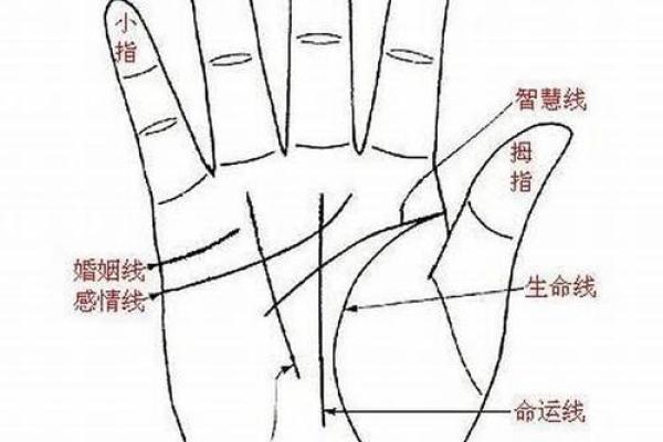 女人手相算命图解：嫁得好的手相