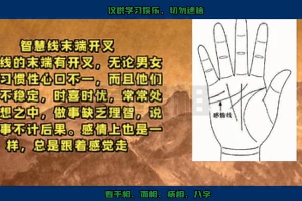 女人手相算命图解：嫁得好的手相