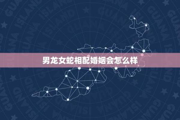 男龙女蛇八字合吗,蛇和龙在一起对谁不利
