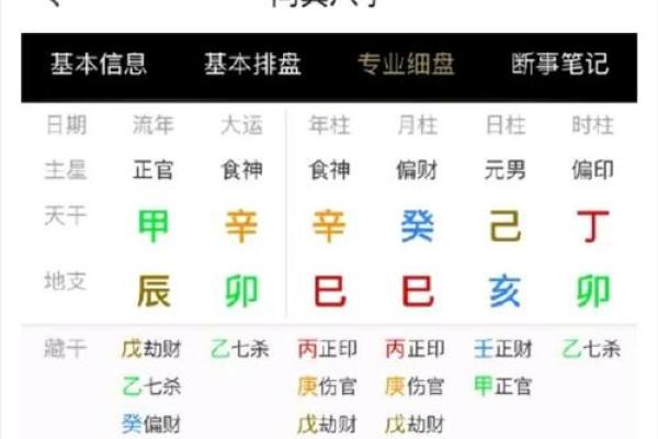八字命盘养是什么意思