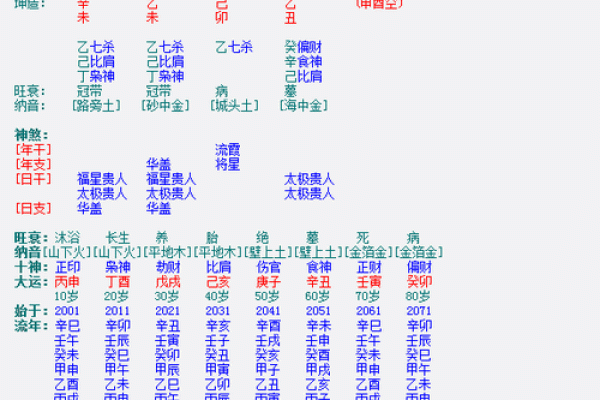 八字命盘养是什么意思