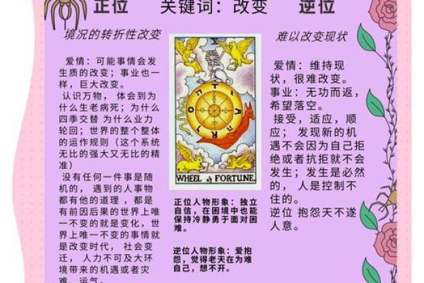 塔罗测试：面对新挑战，你有好心态吗？