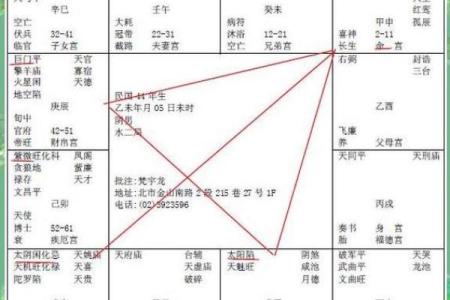 紫薇斗数事业详细解释