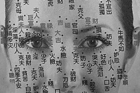 胸部痣相图解算命