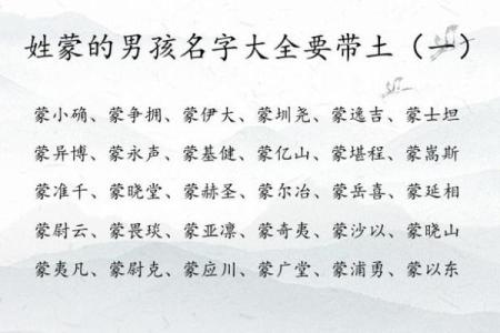 2019年3月25号未时出生的男孩起名方法姓名