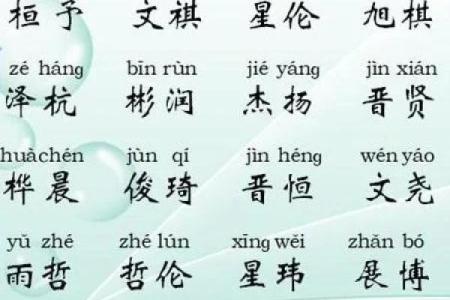 2019年4月3号寅时出生的男孩应该起什么样的名字姓名