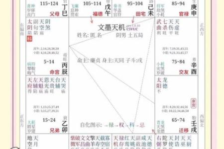 紫微斗数诸星落命宫之：天府星详解