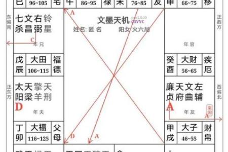 紫微斗数之怎样排斗数四柱详解