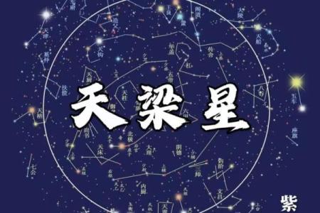 紫薇斗数运疾
