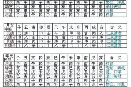 八字癸巳什么意思