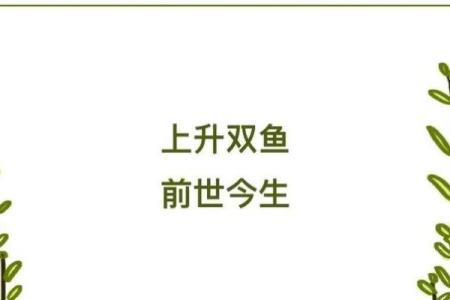 上升双鱼的长相特征 上升星座落入双鱼座